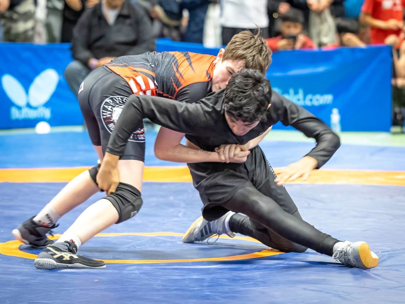 IFC kids wrestling competition